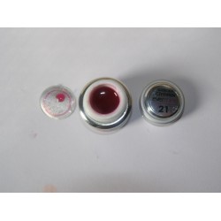 Gel color Evershine 5g #21